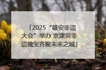 2025“雄安非遗大会”举办 京津冀非遗瑰宝齐聚未来之城