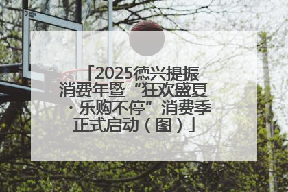 2025德兴提振消费年暨“狂欢盛夏・乐购不停”消费季正式启动（图）