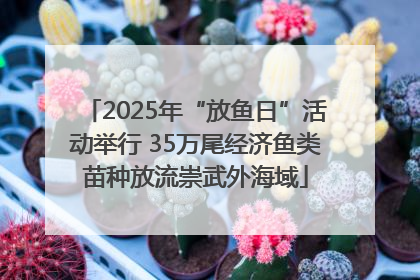 2025年“放鱼日”活动举行 35万尾经济鱼类苗种放流崇武外海域