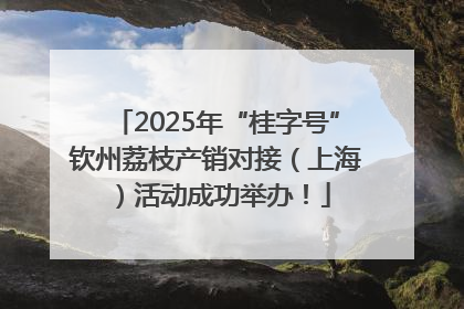 2025年“桂字号”钦州荔枝产销对接（上海）活动成功举办！