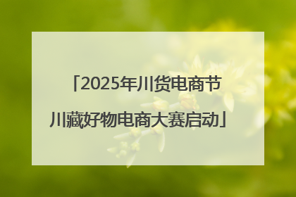 2025年川货电商节川藏好物电商大赛启动