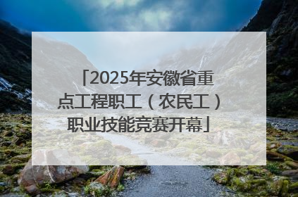 2025年安徽省重点工程职工（农民工）职业技能竞赛开幕