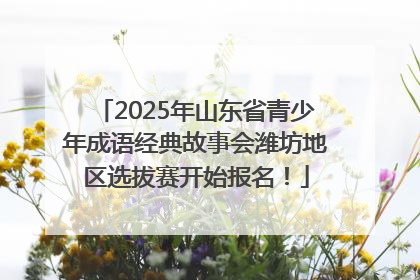 2025年山东省青少年成语经典故事会潍坊地区选拔赛开始报名！