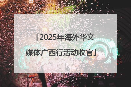 2025年海外华文媒体广西行活动收官