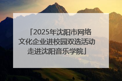 2025年沈阳市网络文化企业进校园双选活动走进沈阳音乐学院