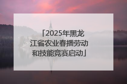2025年黑龙江省农业春播劳动和技能竞赛启动