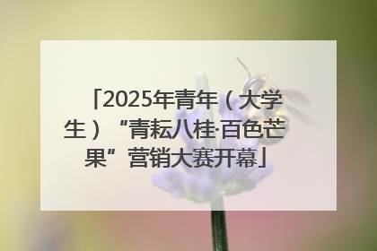 2025年青年（大学生）“青耘八桂·百色芒果”营销大赛开幕