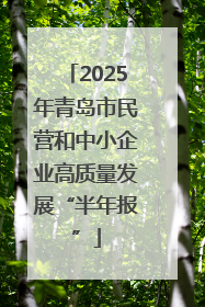 2025年青岛市民营和中小企业高质量发展“半年报”