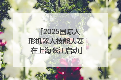 2025国际人形机器人技能大赛在上海张江启动