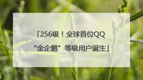 256级！全球首位QQ“金企鹅”等级用户诞生