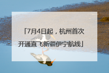 7月4日起，杭州首次开通直飞新疆伊宁航线
