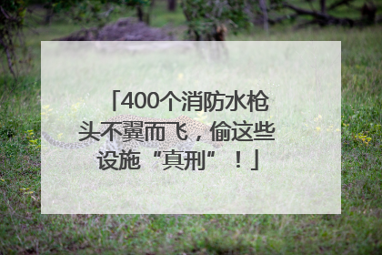 400个消防水枪头不翼而飞，偷这些设施“真刑”！