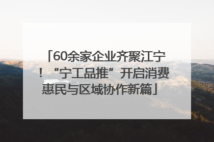 60余家企业齐聚江宁！“宁工品推”开启消费惠民与区域协作新篇