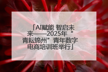 AI赋能 智启未来——2025年“青耘锦州”青年数字电商培训班举行