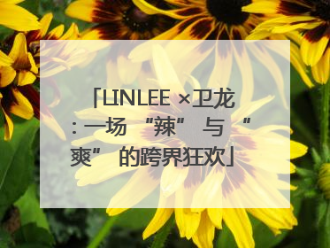 LINLEE ×卫龙：一场 “辣” 与 “爽” 的跨界狂欢
