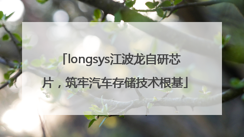 longsys江波龙自研芯片，筑牢汽车存储技术根基